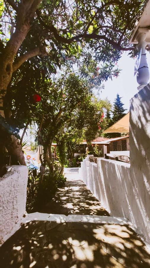 Spitaki Guest House メガリ・アモス エクステリア 写真